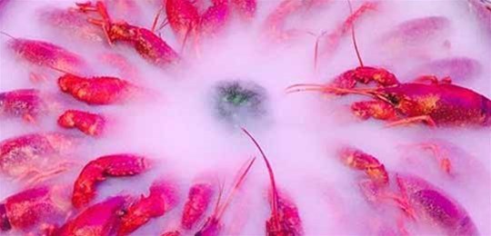 如何選擇山西高純氣體管道配管及附件材料？