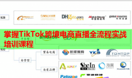 掌握TikTok跨境電商直播全流程實戰(zhàn)培訓(xùn)課程
