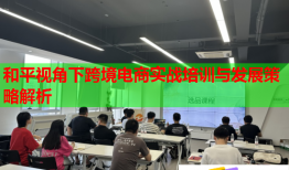和平視角下跨境電商實(shí)戰(zhàn)培訓(xùn)與發(fā)展策略解析