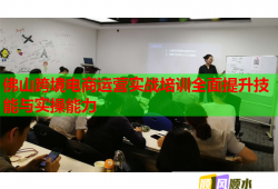 佛山跨境電商運營實戰(zhàn)培訓(xùn)全面提升技能與實操能力