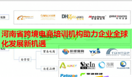 河南省跨境電商培訓(xùn)機(jī)構(gòu)助力企業(yè)全球化發(fā)展新機(jī)遇