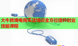 大牛跨境電商實(shí)戰(zhàn)培訓(xùn)全方位提升創(chuàng)業(yè)技能課程