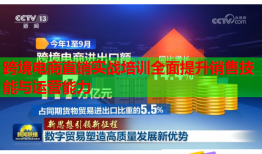 跨境電商直銷實(shí)戰(zhàn)培訓(xùn)全面提升銷售技能與運(yùn)營能力
