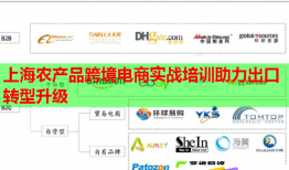 上海農(nóng)產(chǎn)品跨境電商實戰(zhàn)培訓助力出口轉型升級