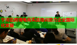 寧河區(qū)跨境電商實戰(zhàn)培訓(xùn)助力企業(yè)國際化發(fā)展