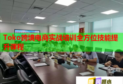 Toko跨境電商實戰(zhàn)培訓全方位技能提升課程