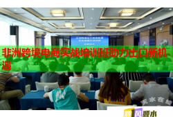 非洲跨境電商實戰(zhàn)培訓班助力出口新機遇