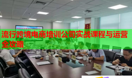 流行跨境電商培訓(xùn)公司實(shí)戰(zhàn)課程與運(yùn)營全攻略