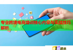 專業(yè)跨境電商培訓(xùn)核心內(nèi)容與實(shí)戰(zhàn)技巧解析