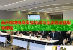 南開跨境電商實(shí)戰(zhàn)培訓(xùn)與全流程運(yùn)營指導(dǎo)課程