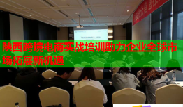 陜西跨境電商實戰(zhàn)培訓(xùn)助力企業(yè)全球市場拓展新機遇
