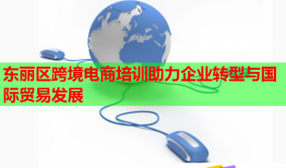 東麗區(qū)跨境電商培訓(xùn)助力企業(yè)轉(zhuǎn)型與國際貿(mào)易發(fā)展