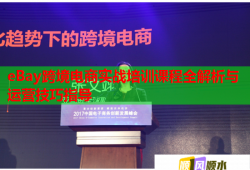 eBay跨境電商實(shí)戰(zhàn)培訓(xùn)課程全解析與運(yùn)營技巧指導(dǎo)