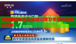 跨境國際電商實戰(zhàn)培訓助力全球市場快速拓展