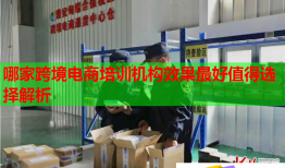 哪家跨境電商培訓(xùn)機(jī)構(gòu)效果最好值得選擇解析