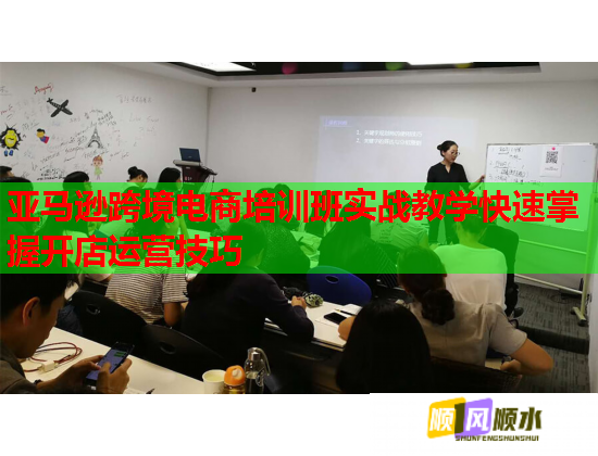 亞馬遜跨境電商培訓(xùn)班實戰(zhàn)教學(xué)快速掌握開店運(yùn)營技巧