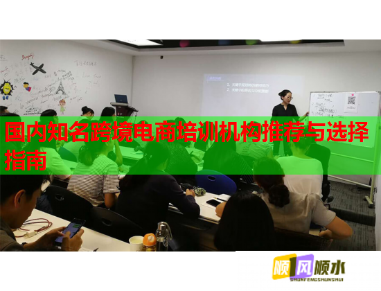 國內(nèi)知名跨境電商培訓(xùn)機構(gòu)推薦與選擇指南