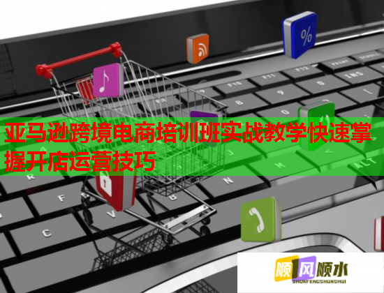 亞馬遜跨境電商培訓(xùn)班實(shí)戰(zhàn)教學(xué)快速掌握開(kāi)店運(yùn)營(yíng)技巧