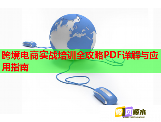 跨境電商實戰(zhàn)培訓全攻略PDF詳解與應用指南