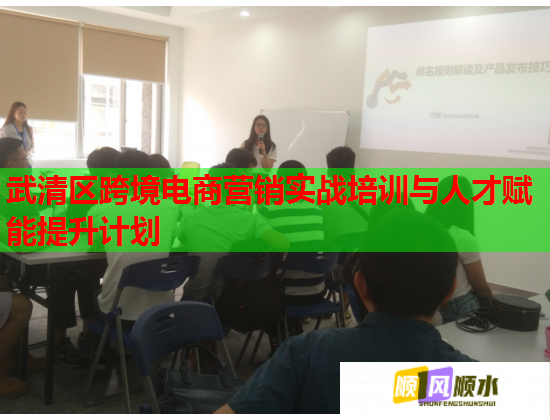 武清區(qū)跨境電商營銷實(shí)戰(zhàn)培訓(xùn)與人才賦能提升計(jì)劃