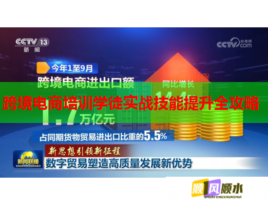 跨境電商培訓學徒實戰(zhàn)技能提升全攻略