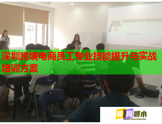 深圳跨境電商員工專業(yè)技能提升與實戰(zhàn)培訓方案