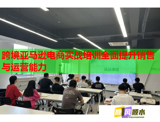 跨境亞馬遜電商實(shí)戰(zhàn)培訓(xùn)全面提升銷(xiāo)售與運(yùn)營(yíng)能力