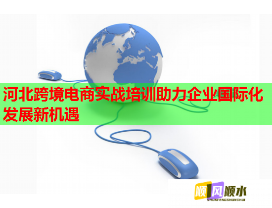 河北跨境電商實戰(zhàn)培訓(xùn)助力企業(yè)國際化發(fā)展新機(jī)遇