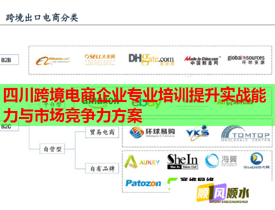 四川跨境電商企業(yè)專業(yè)培訓(xùn)提升實(shí)戰(zhàn)能力與市場競爭力方案