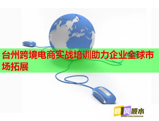 臺(tái)州跨境電商實(shí)戰(zhàn)培訓(xùn)助力企業(yè)全球市場(chǎng)拓展