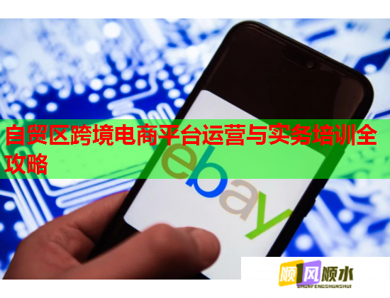 自貿(mào)區(qū)跨境電商平臺運(yùn)營與實(shí)務(wù)培訓(xùn)全攻略