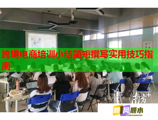 跨境電商培訓(xùn)小結(jié)簡短撰寫實(shí)用技巧指南