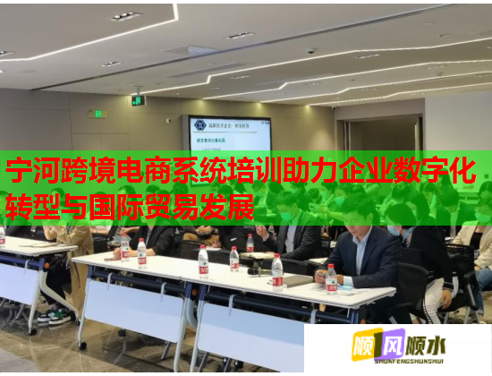 寧河跨境電商系統(tǒng)培訓(xùn)助力企業(yè)數(shù)字化轉(zhuǎn)型與國際貿(mào)易發(fā)展