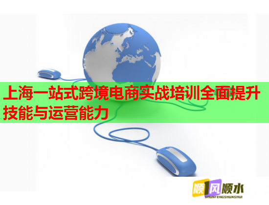 上海一站式跨境電商實戰(zhàn)培訓全面提升技能與運營能力