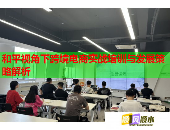 和平視角下跨境電商實(shí)戰(zhàn)培訓(xùn)與發(fā)展策略解析