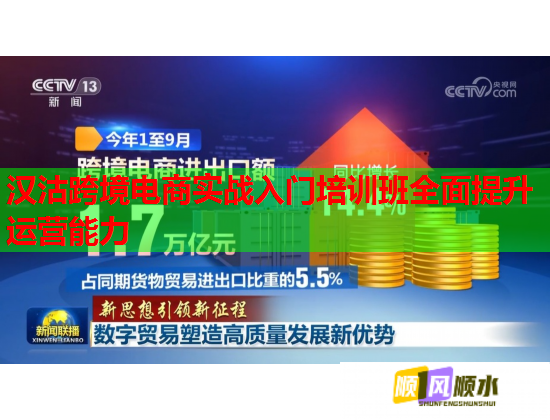 漢沽跨境電商實(shí)戰(zhàn)入門(mén)培訓(xùn)班全面提升運(yùn)營(yíng)能力