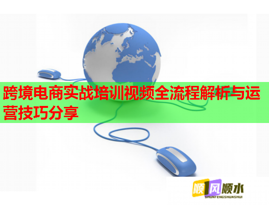 跨境電商實(shí)戰(zhàn)培訓(xùn)視頻全流程解析與運(yùn)營(yíng)技巧分享