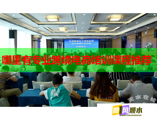 哪里有專業(yè)跨境電商培訓課程推薦