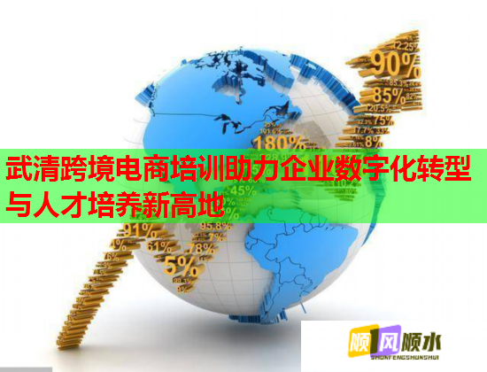 武清跨境電商培訓助力企業(yè)數(shù)字化轉(zhuǎn)型與人才培養(yǎng)新高地